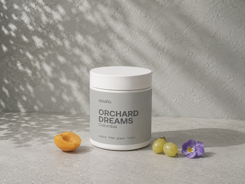 Orchard Dreams